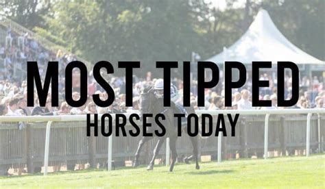 outsider tips today